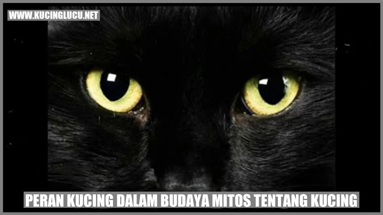 Peran Kucing dalam Budaya Mitos tentang Kucing