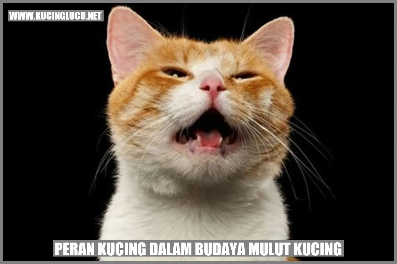 gambar kucing