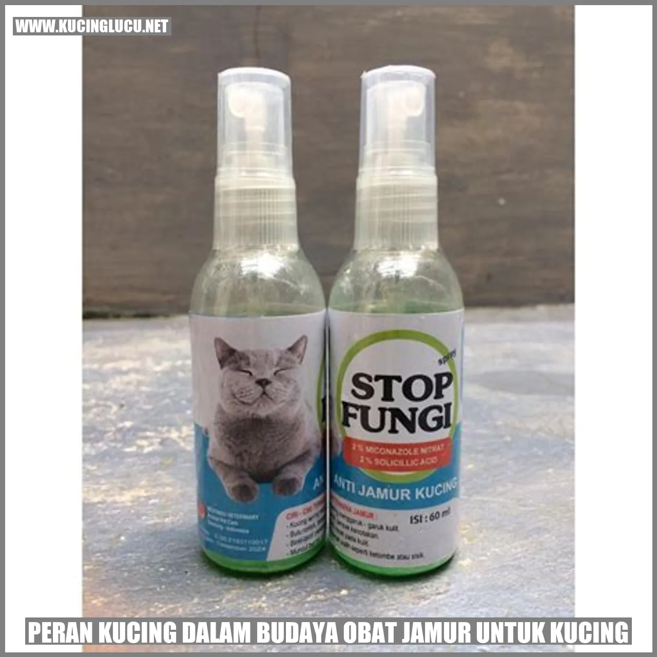 Peran Kucing dalam Budaya obat jamur untuk kucing