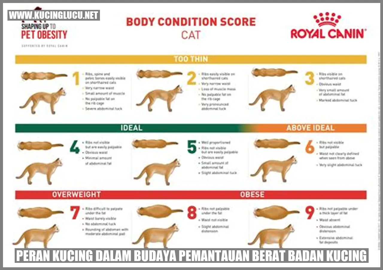 Peran Kucing dalam Budaya pemantauan berat badan kucing