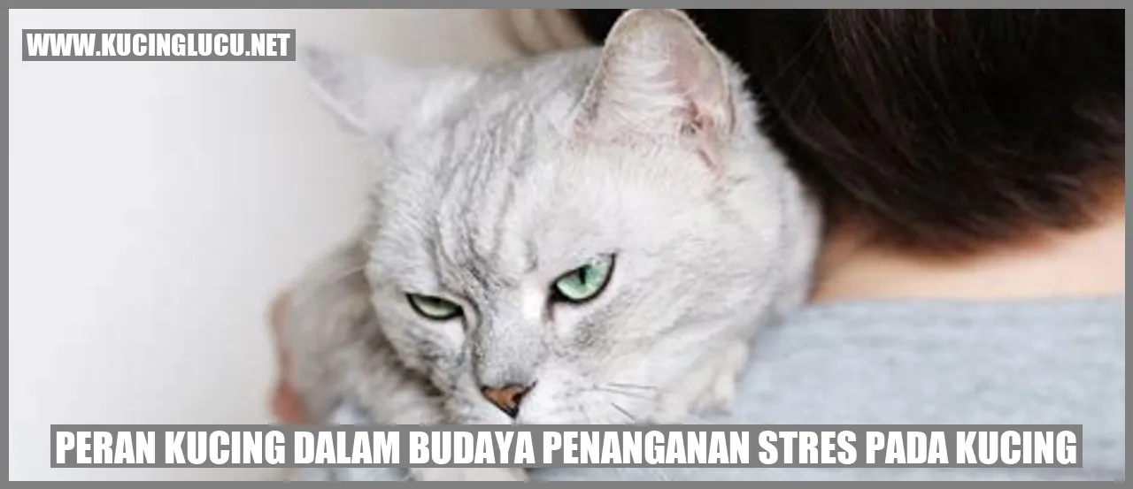 Kucing