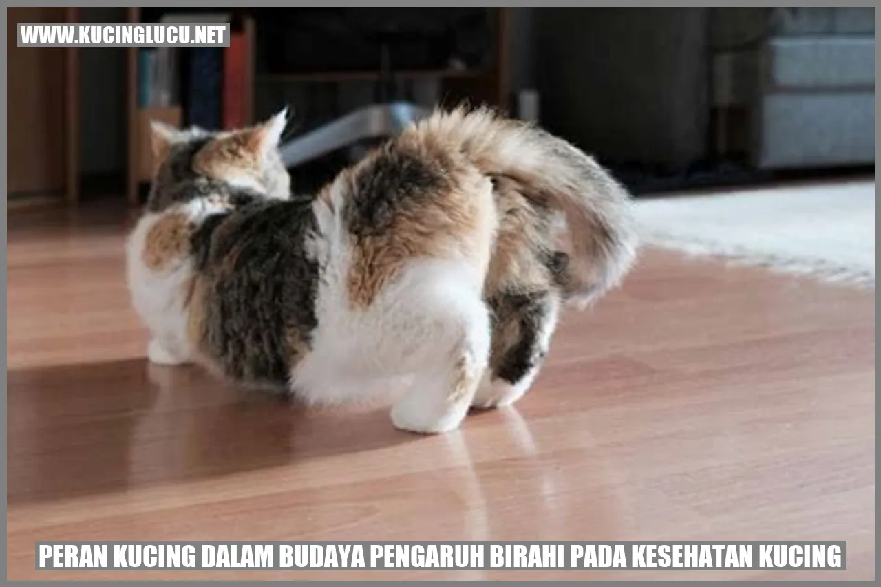 Peran Kucing dalam Budaya pengaruh birahi pada kesehatan kucing