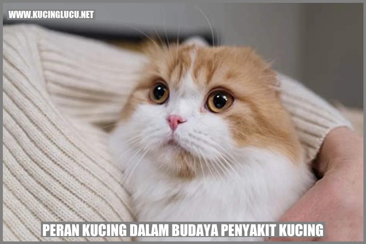 gambar kucing