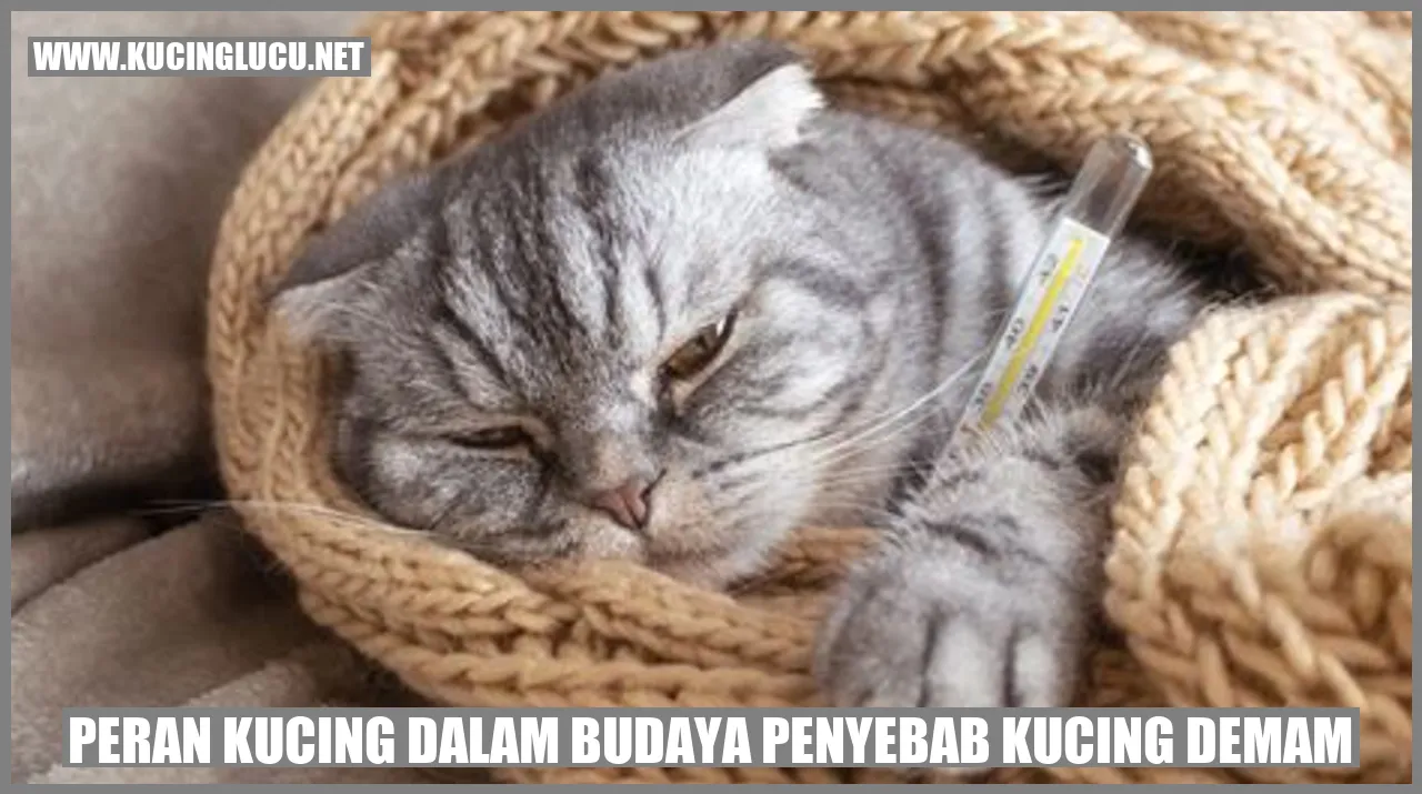 gambar kucing