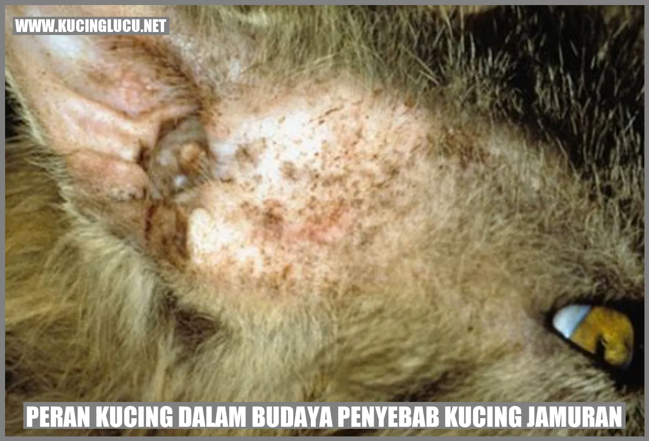 Peran Kucing dalam Budaya penyebab kucing jamuran