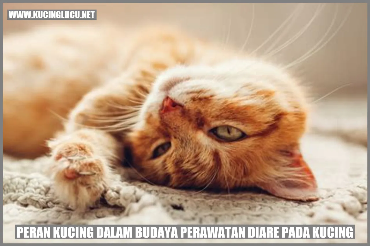 peran kucing dalam budaya perawatan diare pada kucing