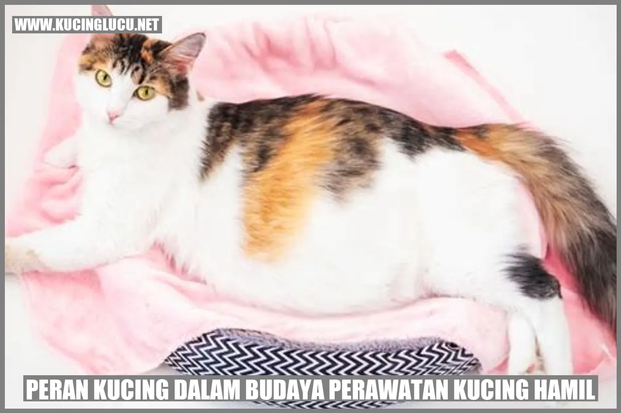 Peran Kucing dalam Budaya perawatan kucing hamil