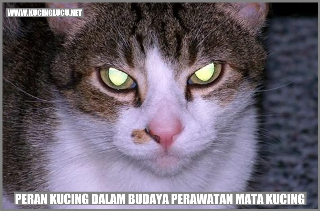 Peran Kucing dalam Budaya perawatan mata kucing