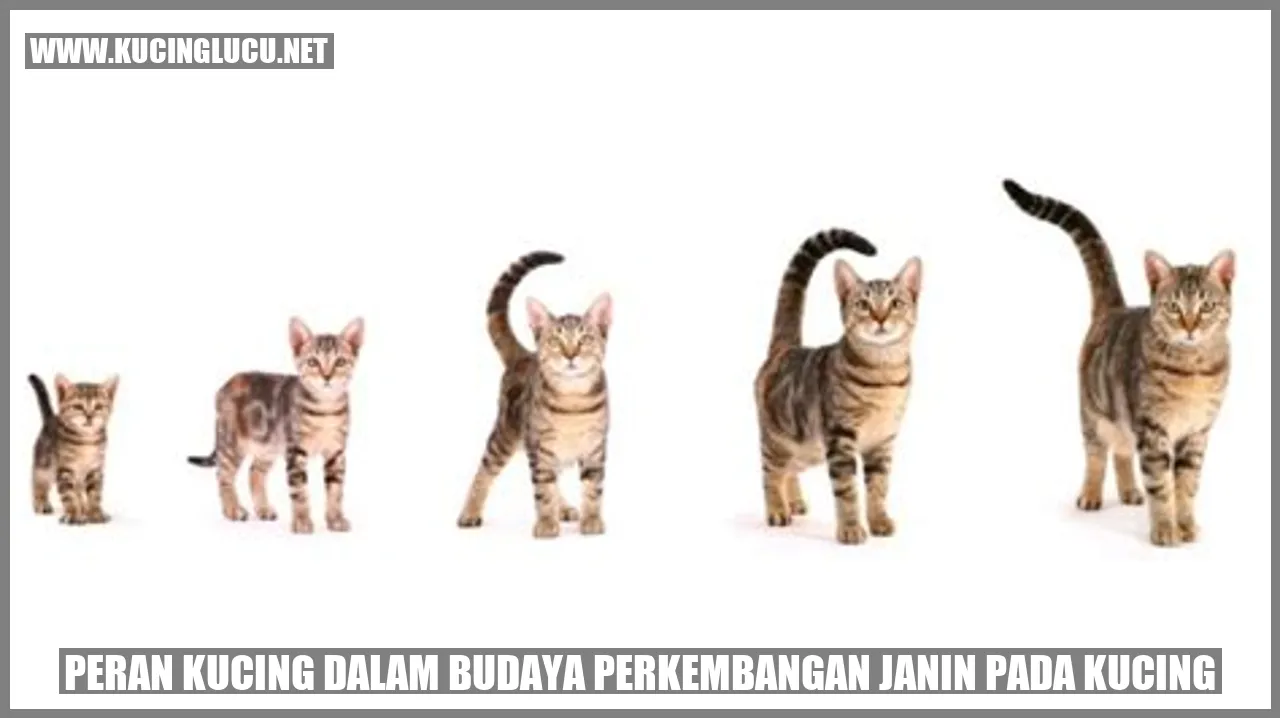 Peran Kucing dalam Budaya perkembangan janin pada kucing