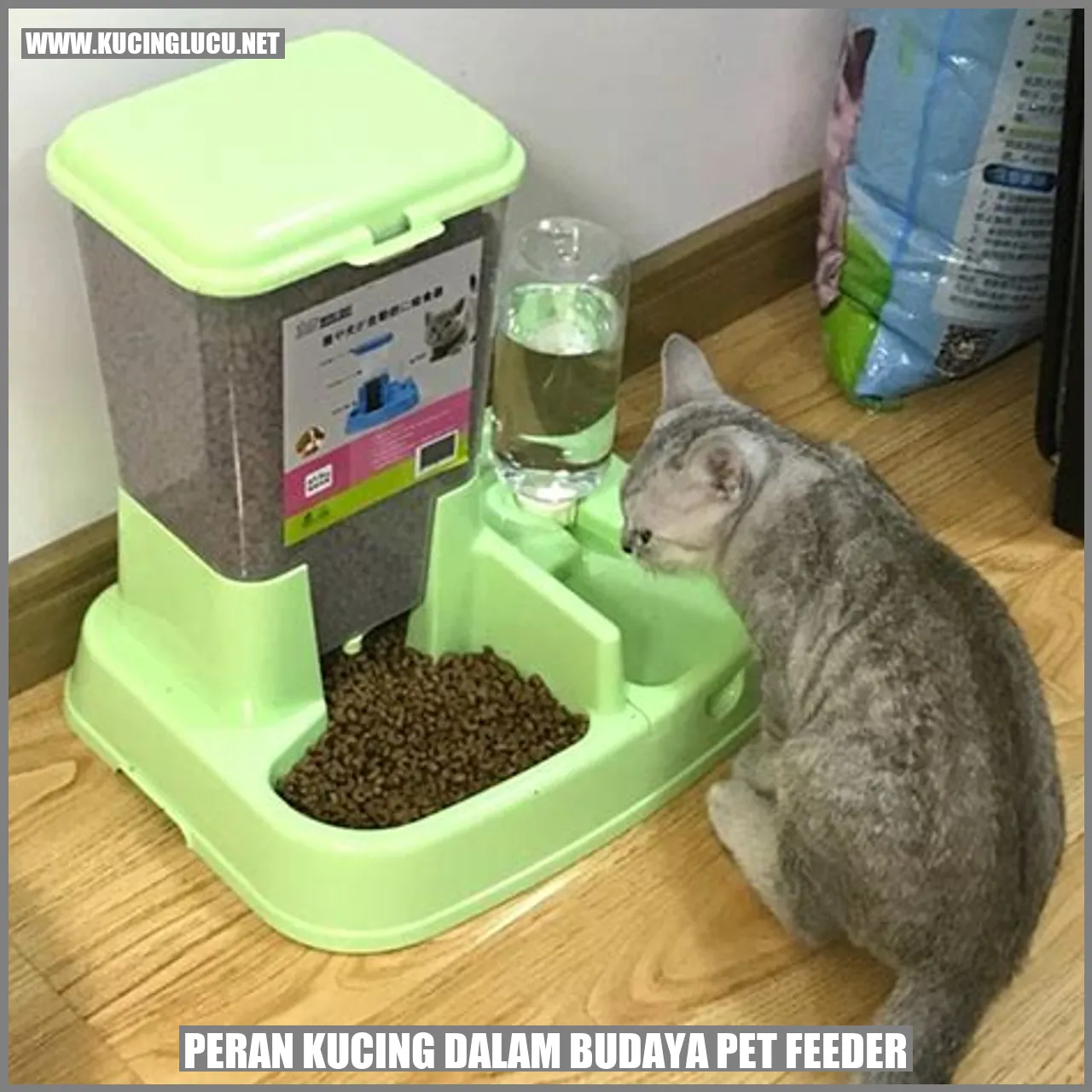 Peran Kucing dalam Budaya pet feeder