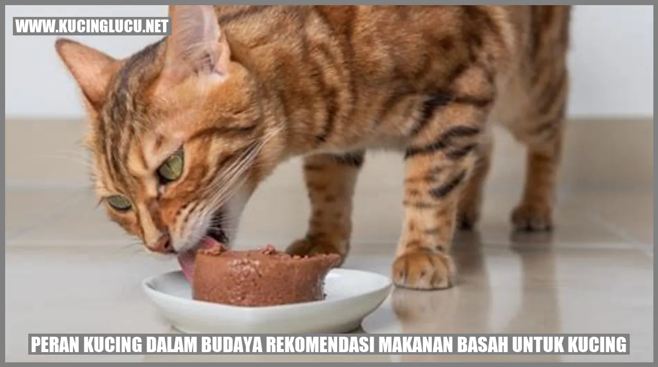 Seekor kucing sedang menikmati makanan basah