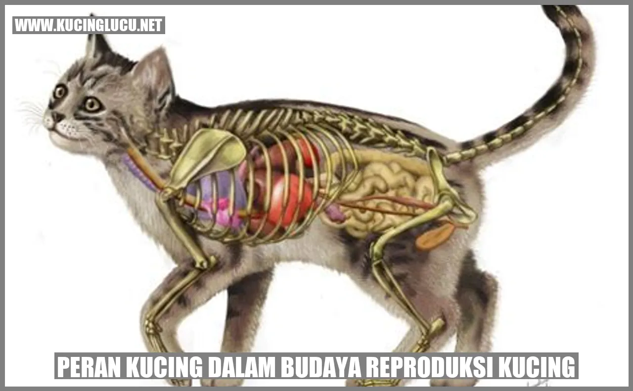 Ilustrasi Kucing Reproduksi