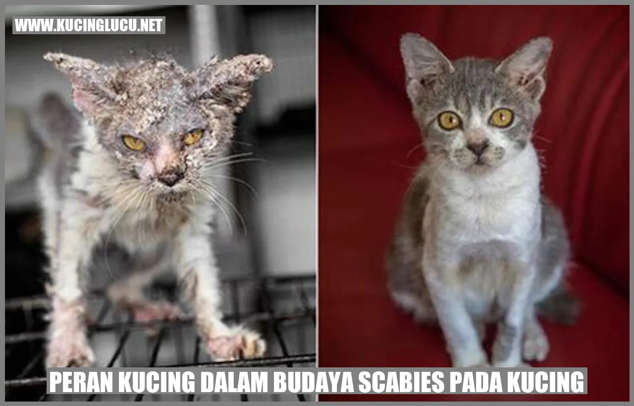 Gambar Kucing