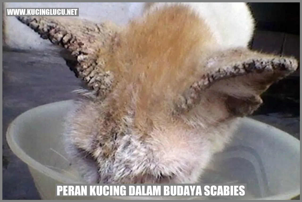 Peran Kucing dalam Budaya scabies