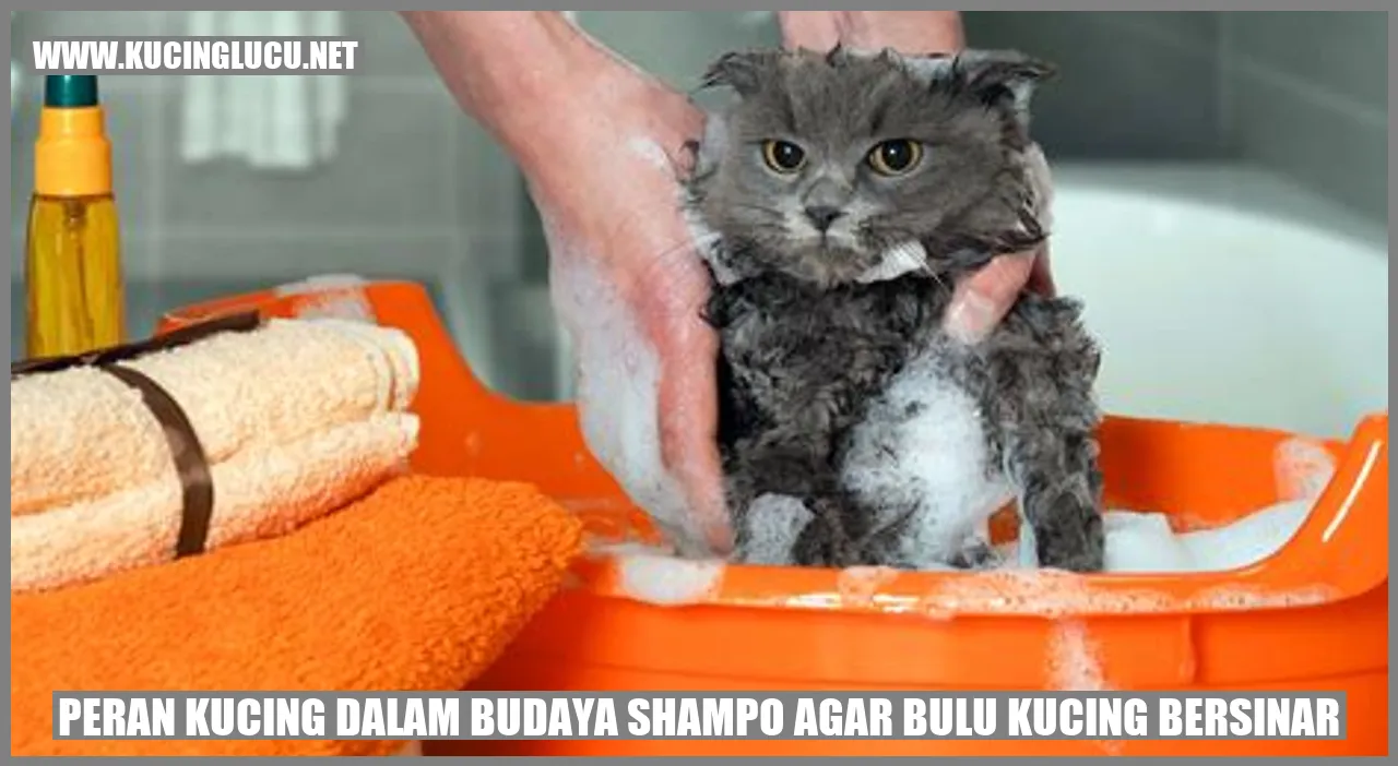 Gambar kucing dengan bulu yang tampak mengilap