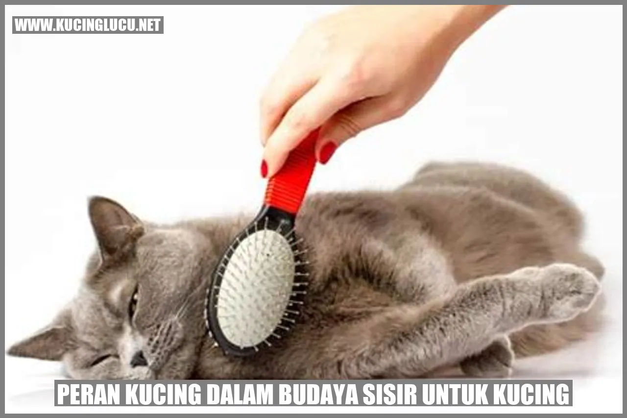 Peran Kucing dalam Budaya sisir untuk kucing