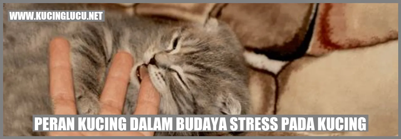 Peran Kucing dalam Budaya stress pada kucing