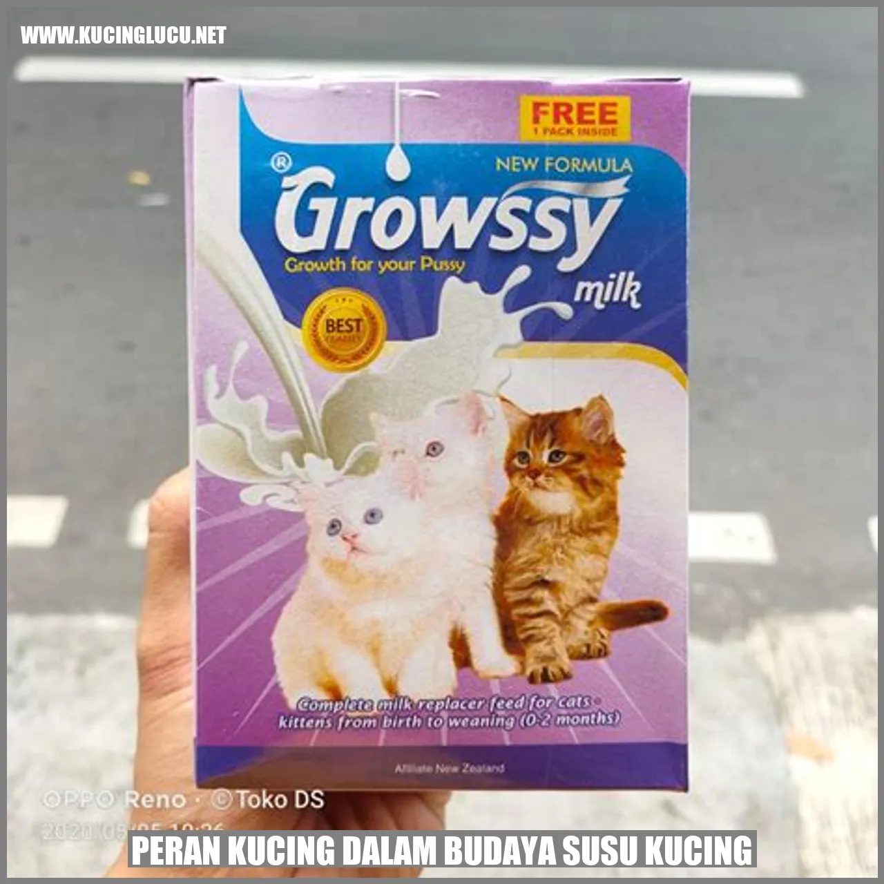 Peran Kucing dalam Budaya susu Kucing