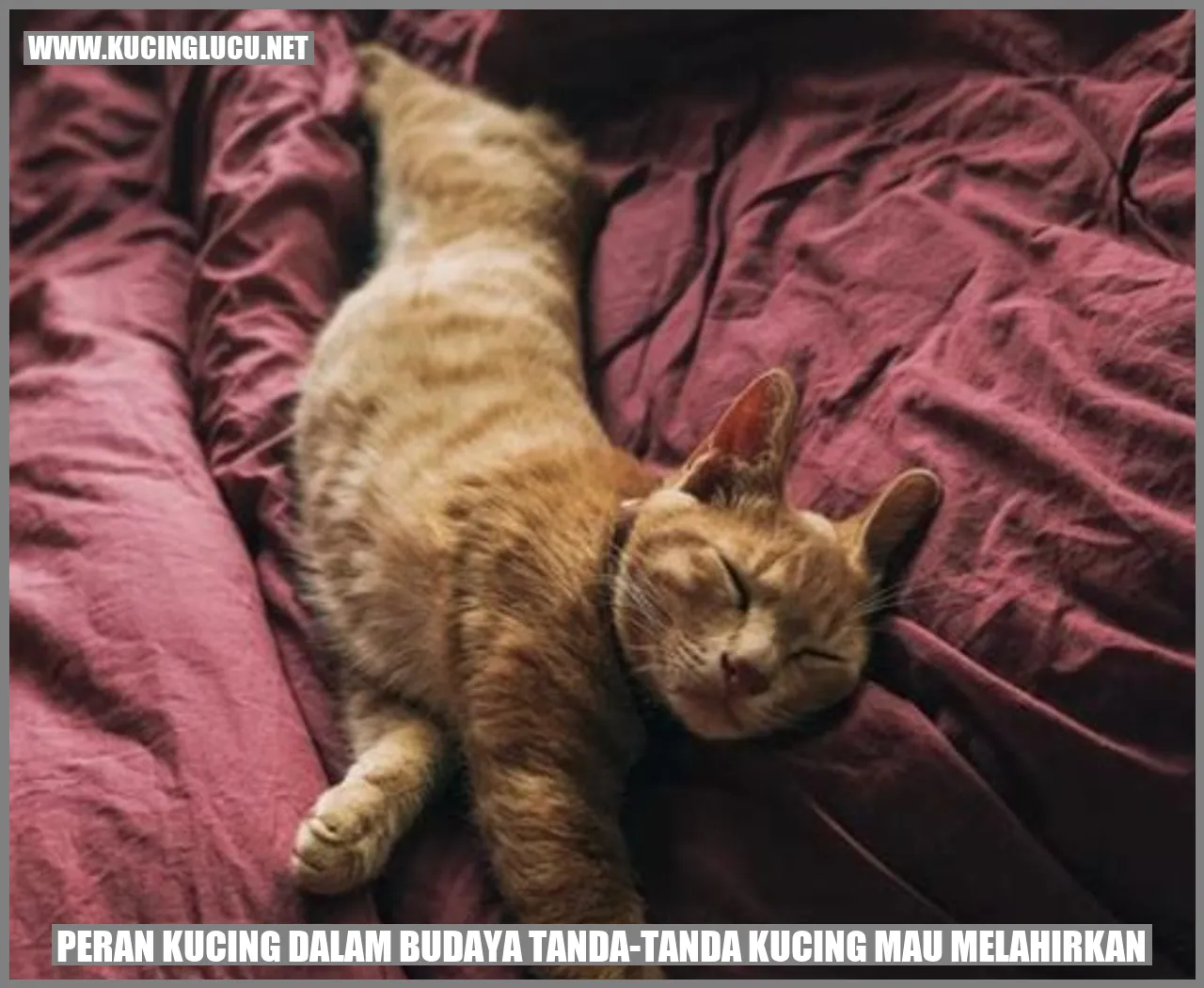 Peran Kucing dalam Budaya tanda-tanda kucing mau melahirkan