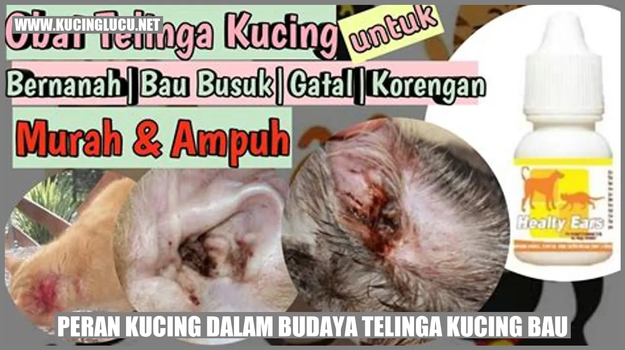 gambar kucing bau