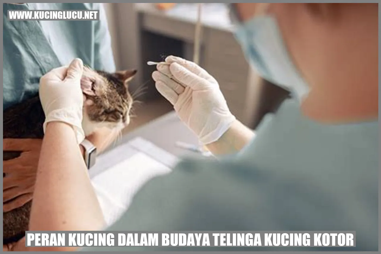 Kucing dalam budaya telinga kucing kotor