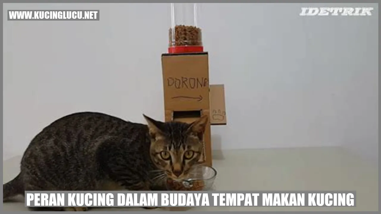 Gambar kucing dalam restoran kucing