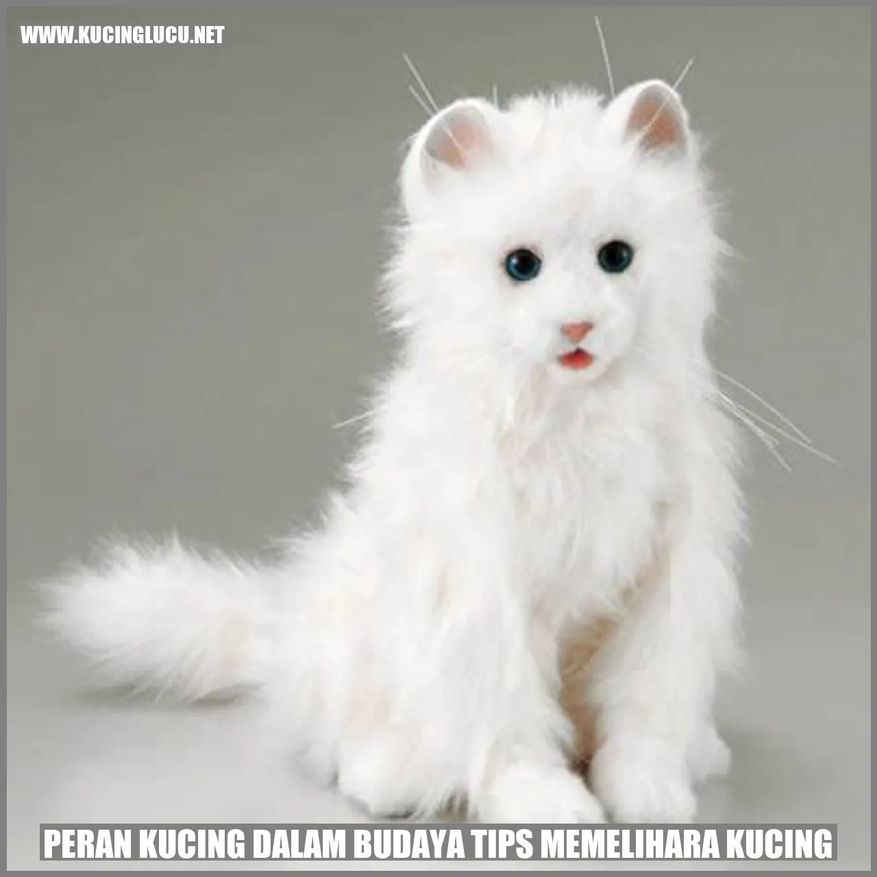 Peran Kucing dalam Budaya tips memelihara kucing