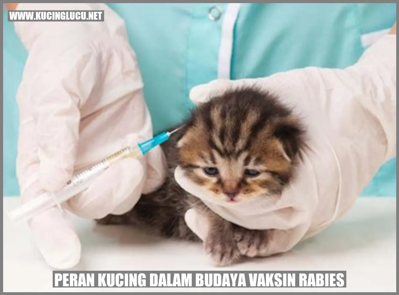 Gambar seekor kucing yang sedang mendapatkan vaksin