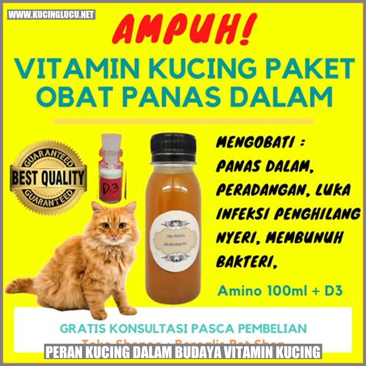 Peran Kucing dalam Budaya Vitamin Kucing