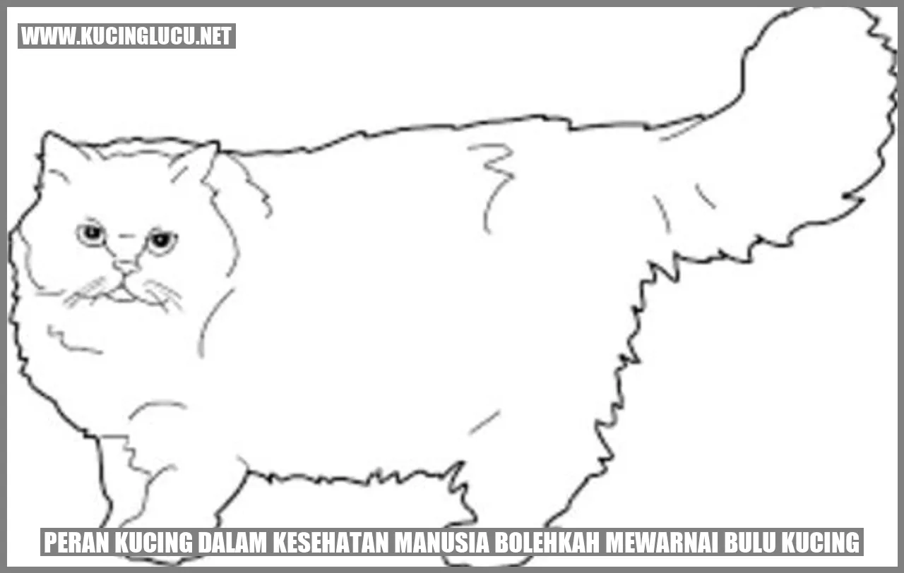 Gambar kucing berwarna