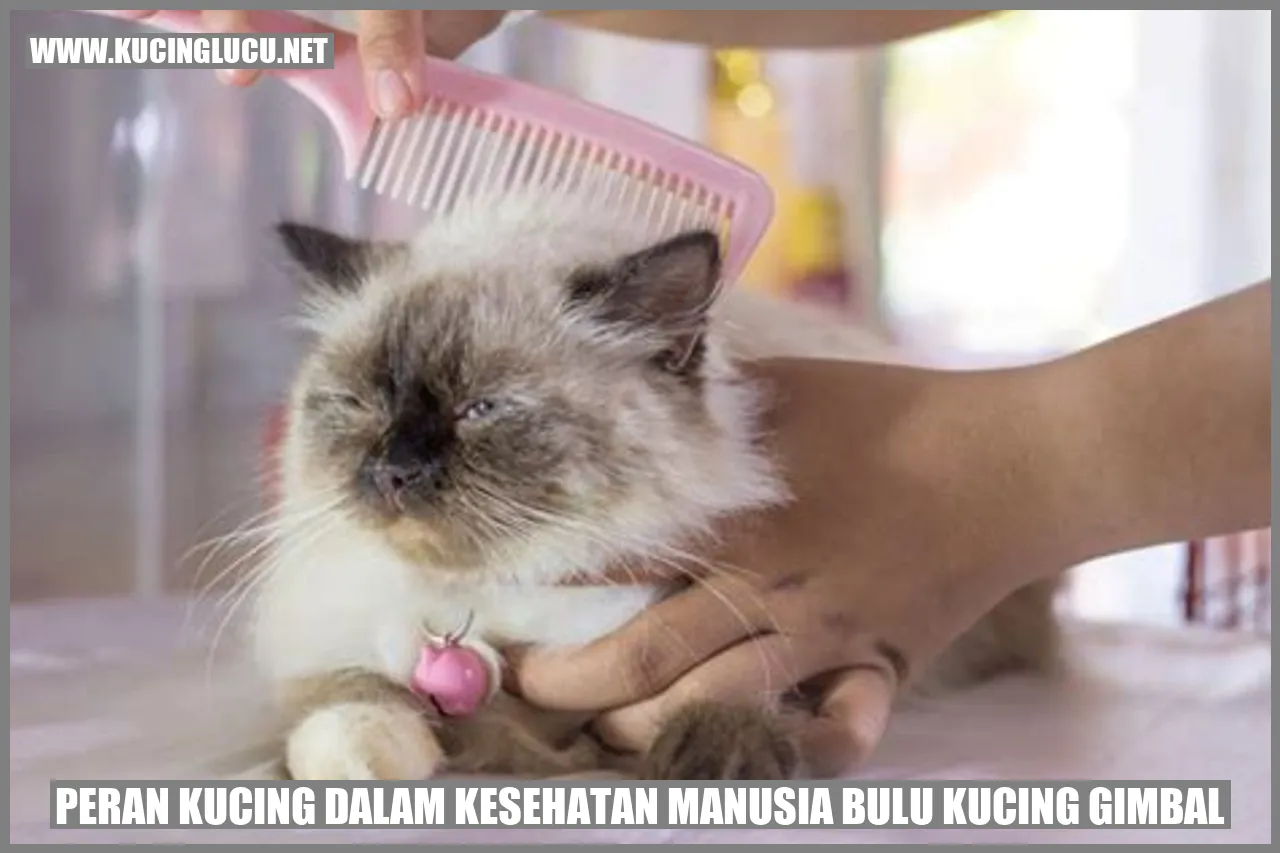 Peran Kucing dalam Kesehatan Manusia