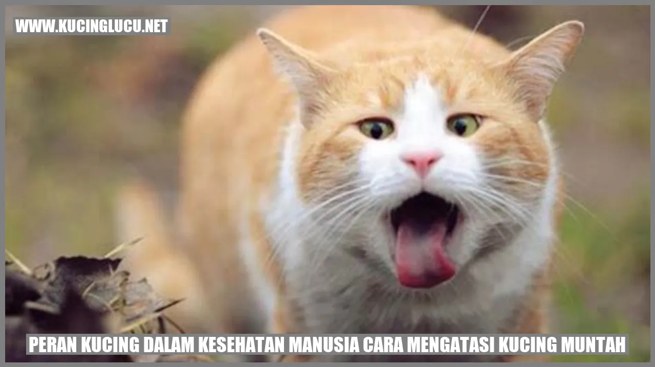 Gambar Kucing yang Menggemaskan