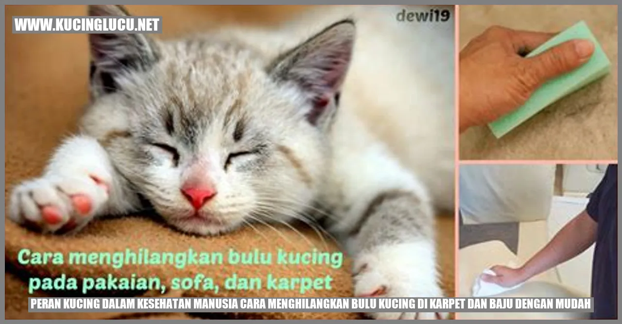 Gambar Kucing