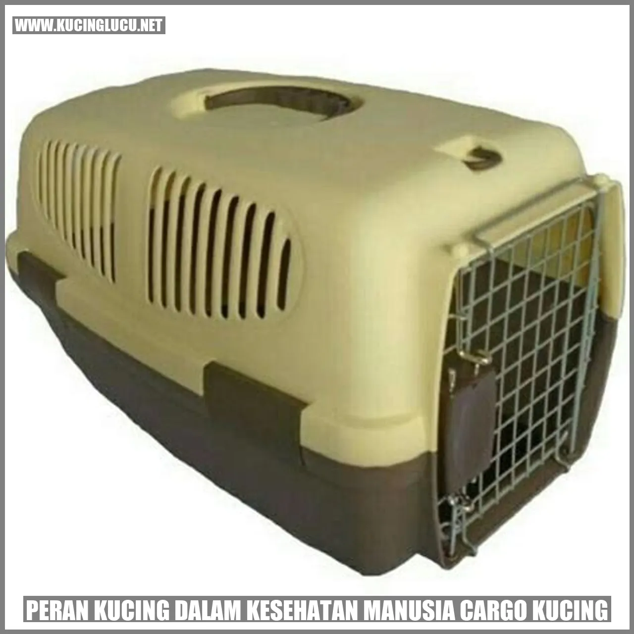 Peran Kucing dalam Kesehatan Manusia