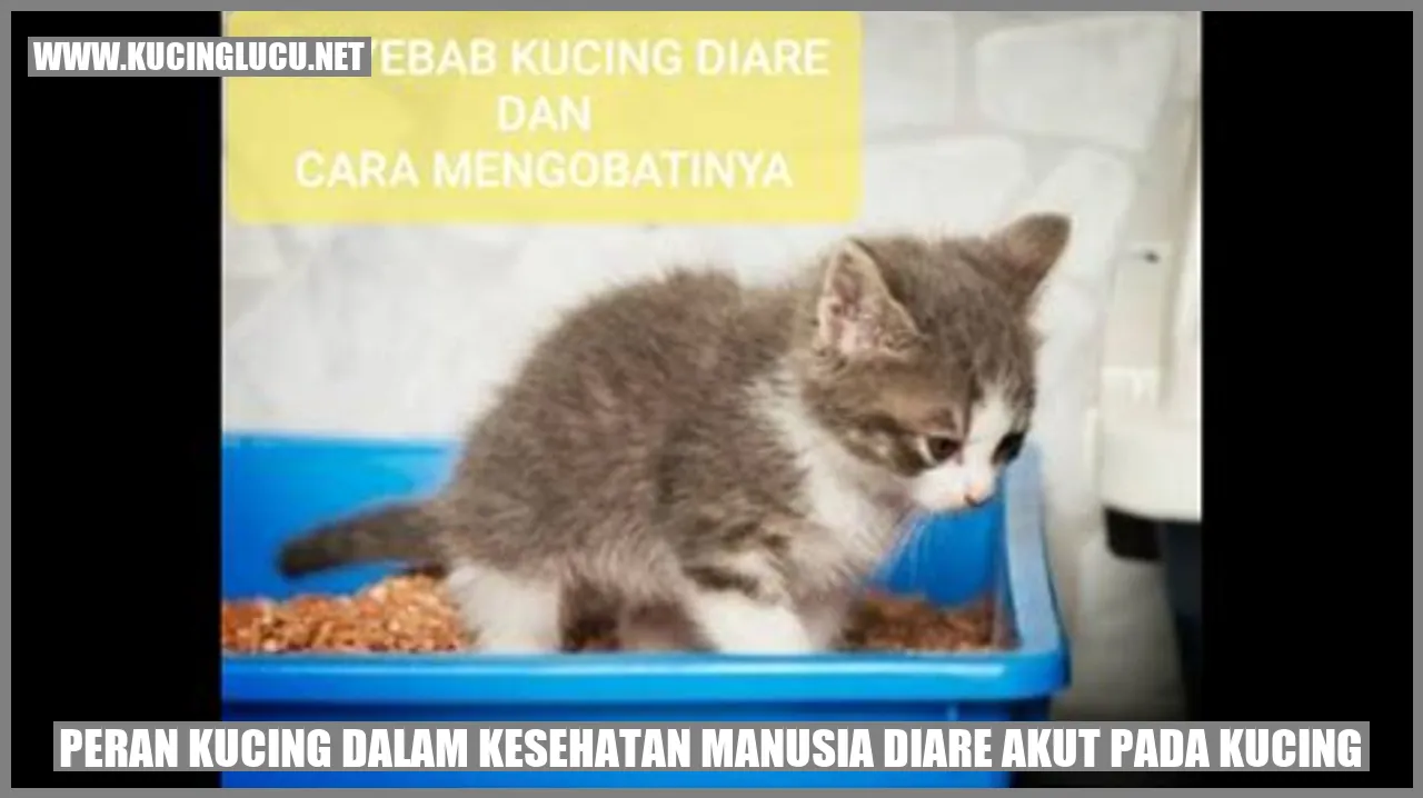 Peran Kucing dalam Kesehatan Manusia diare akut pada kucing