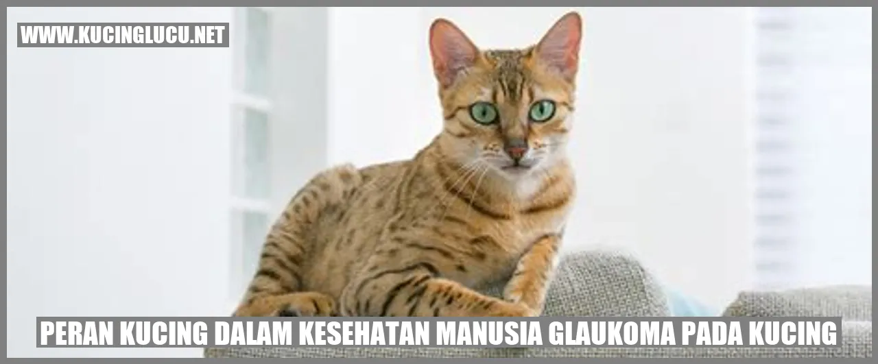 Peran Kucing dalam Kesehatan Manusia