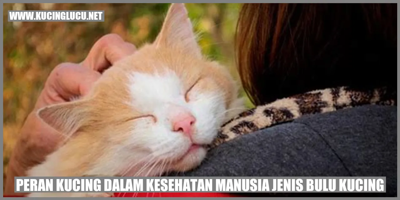 gambar kucing
