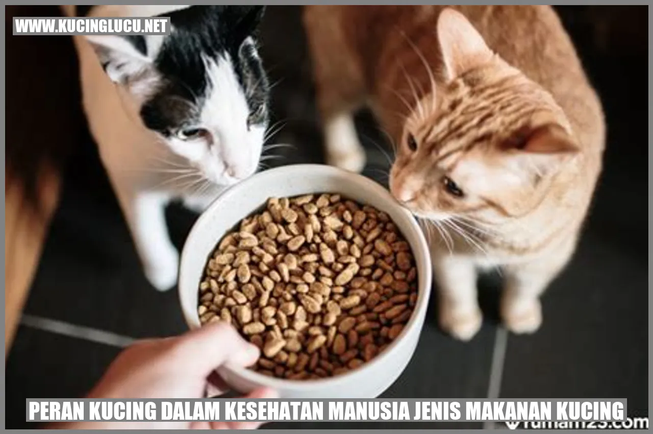 Gambar Kucing yang Lucu
