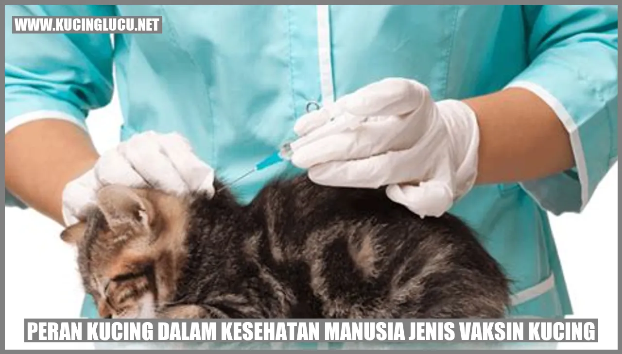 Kucing dan Vaksin Kucing