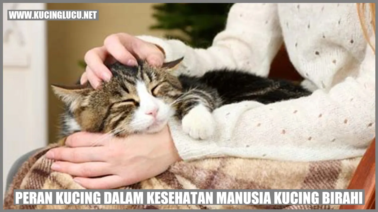 Peran Kucing dalam Kesehatan Manusia