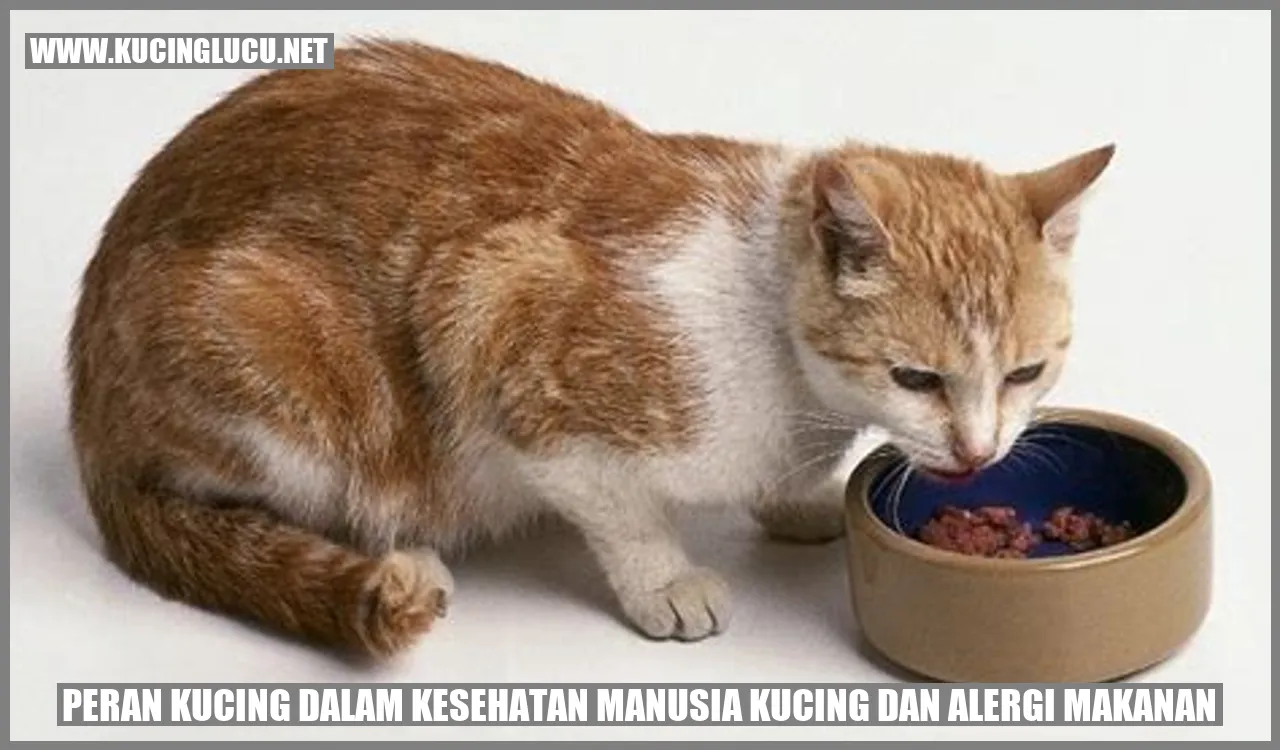 Peran Kucing dalam Kesehatan Manusia