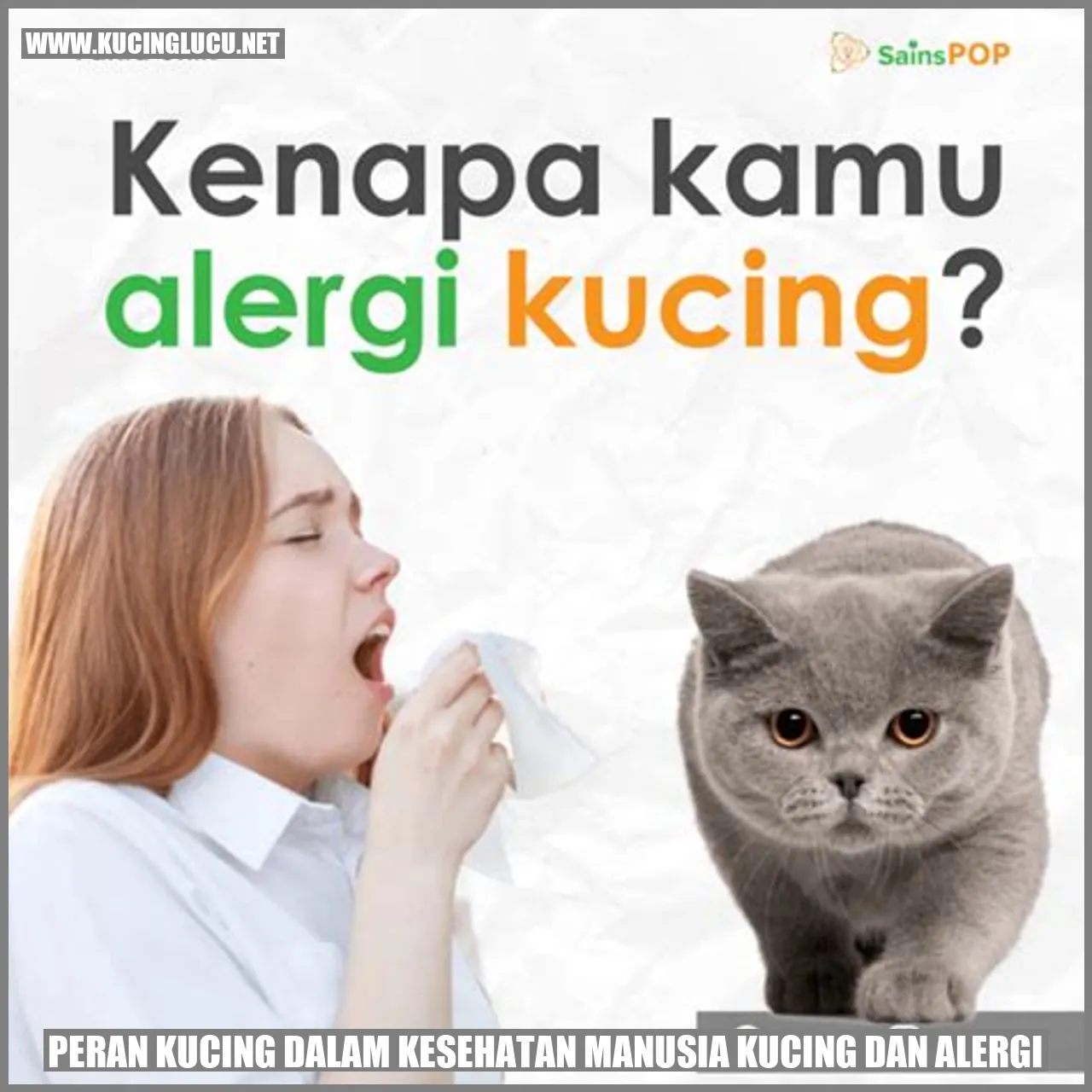 Ilustrasi Kucing