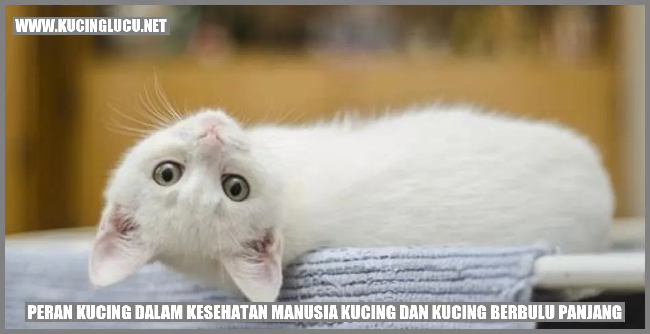 Peran Kucing dalam Kesehatan Manusia