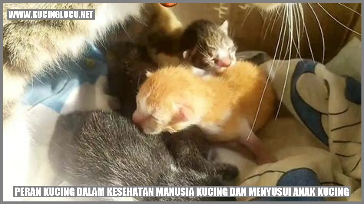 Peran Kucing dalam Kesehatan Manusia