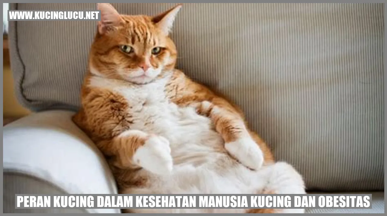 Peran Kucing dalam Kesehatan Manusia Kucing dan Obesitas