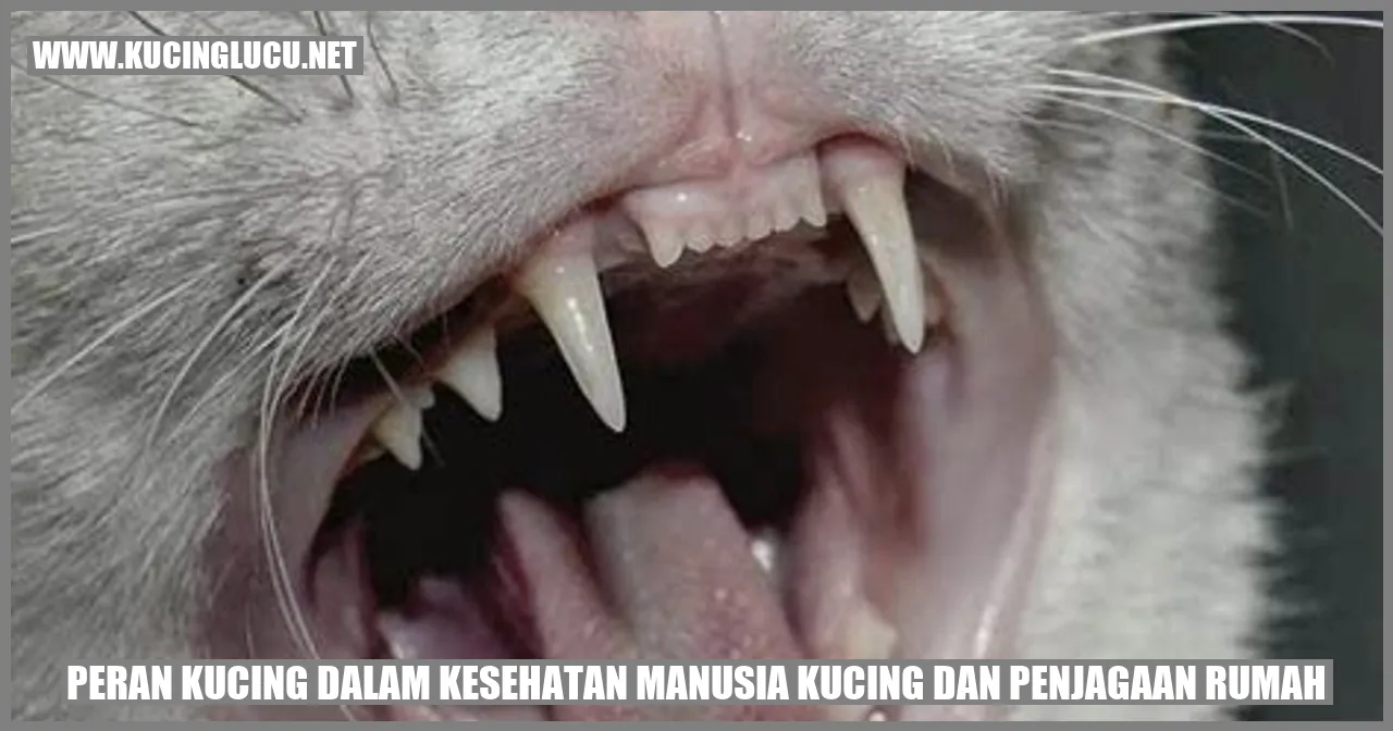 Peran Kucing dalam Kesehatan Manusia