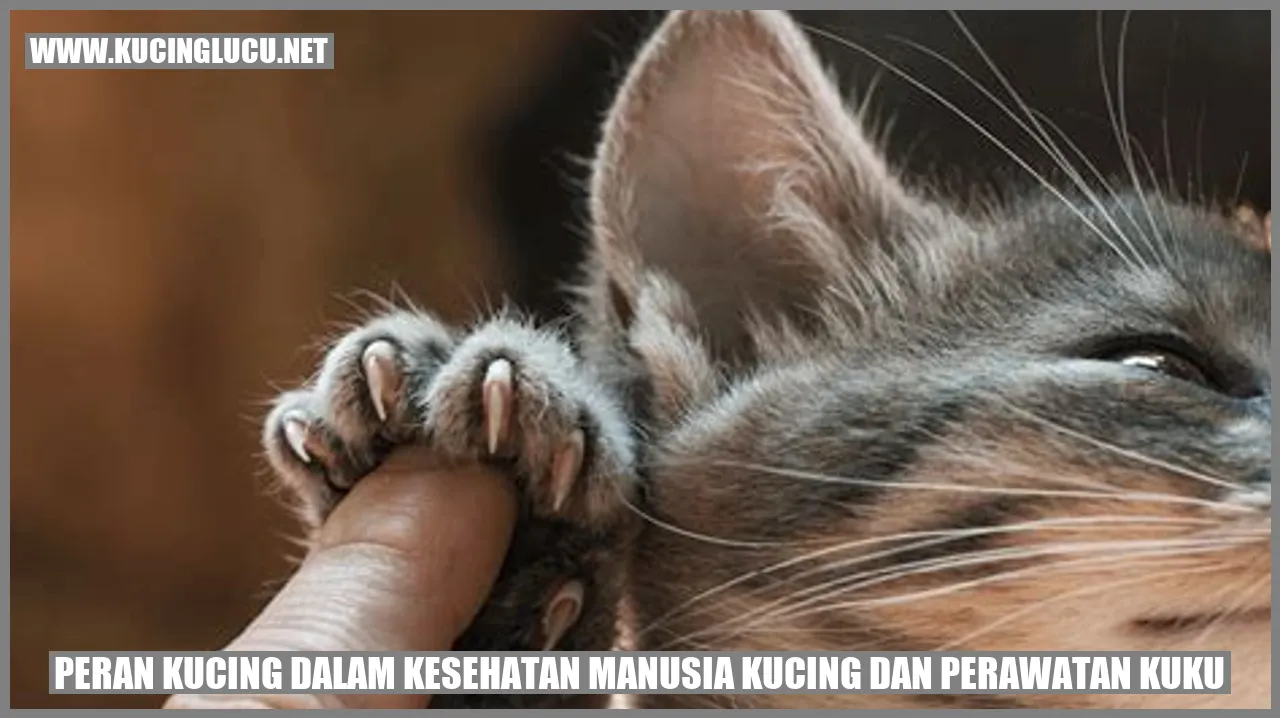 Peran Kucing dalam Kesehatan Manusia Kucing dan perawatan kuku