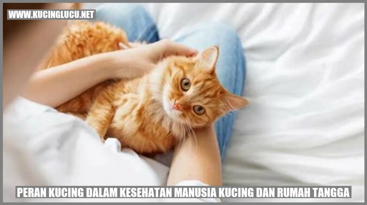 Gambar kucing yang menggemaskan