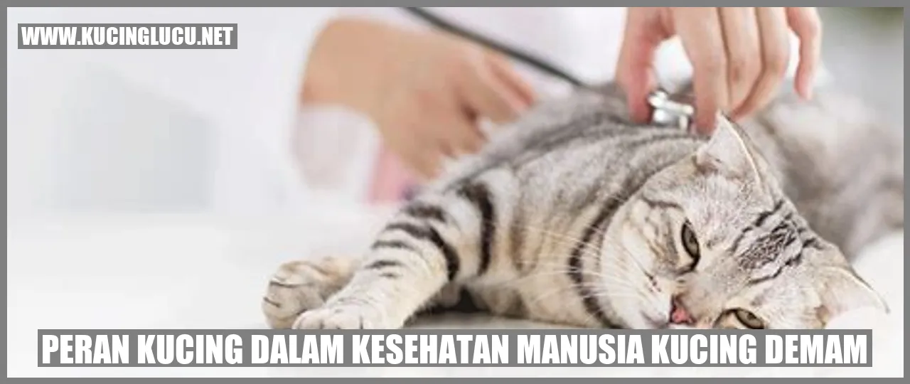 Kucing Mendukung Kesehatan Manusia