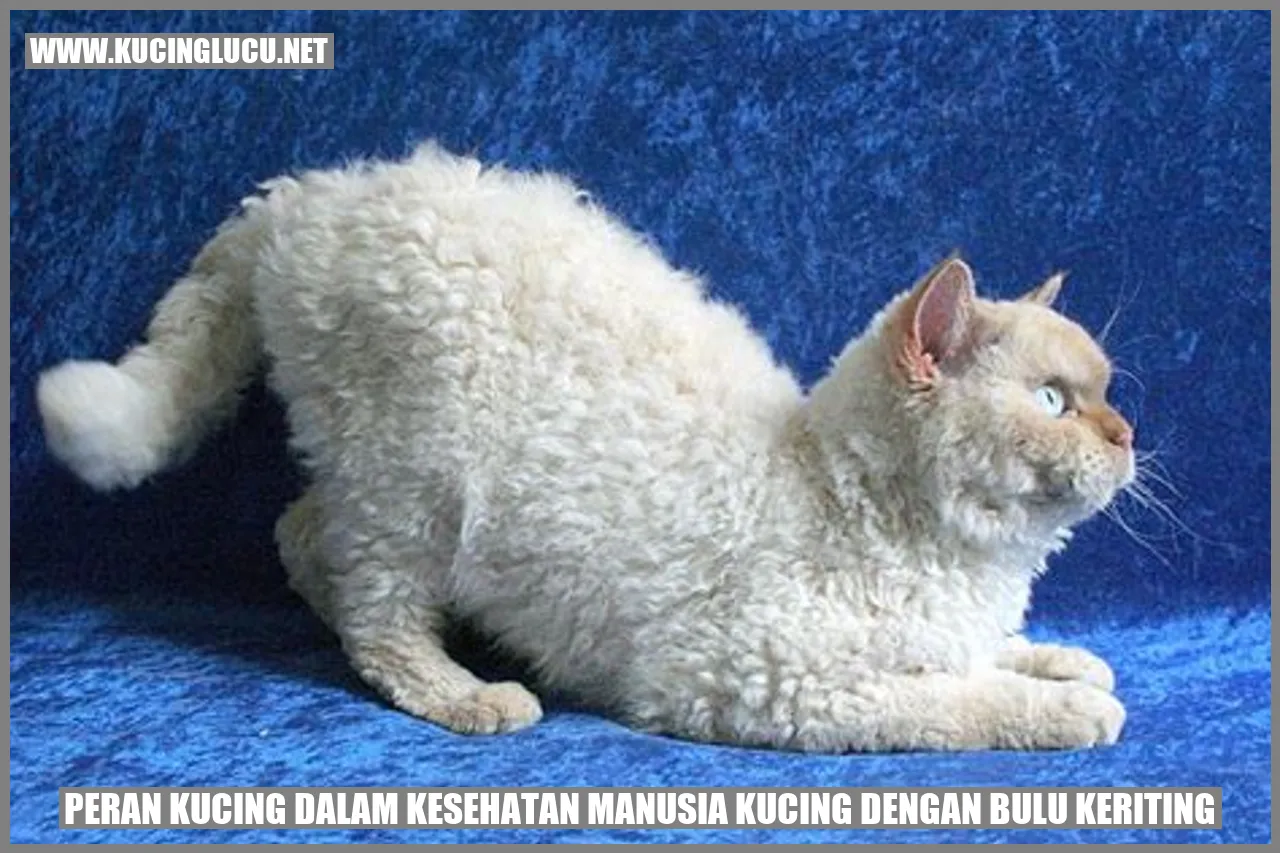 Peran Kucing dalam Kesehatan Manusia Kucing dengan Bulu Keriting